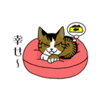 我が家のノラ猫ハナちゃん♀（個別スタンプ：29）