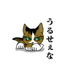 我が家のノラ猫ハナちゃん♀（個別スタンプ：30）