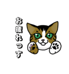 我が家のノラ猫ハナちゃん♀（個別スタンプ：35）