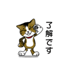 我が家のノラ猫ハナちゃん♀（個別スタンプ：36）