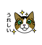 我が家のノラ猫ハナちゃん♀（個別スタンプ：37）
