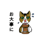我が家のノラ猫ハナちゃん♀（個別スタンプ：40）