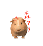 My little zoo（個別スタンプ：6）