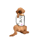 My little zoo（個別スタンプ：18）