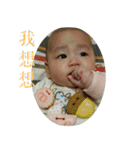 Little Pine Cone Baby（個別スタンプ：4）