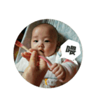 Little Pine Cone Baby（個別スタンプ：5）