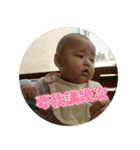 Little Pine Cone Baby（個別スタンプ：7）
