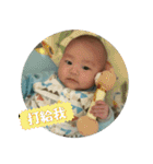 Little Pine Cone Baby（個別スタンプ：8）