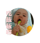 Little Pine Cone Baby（個別スタンプ：11）