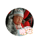 Little Pine Cone Baby（個別スタンプ：13）