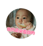 Little Pine Cone Baby（個別スタンプ：14）