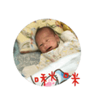 Little Pine Cone Baby（個別スタンプ：15）