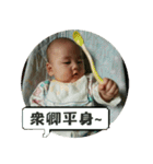 Little Pine Cone Baby（個別スタンプ：16）