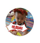 Little Pine Cone Baby（個別スタンプ：21）