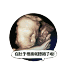Little Pine Cone Baby（個別スタンプ：26）