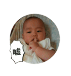Little Pine Cone Baby（個別スタンプ：27）
