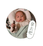 Little Pine Cone Baby（個別スタンプ：28）