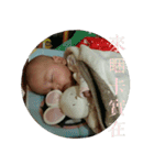 Little Pine Cone Baby（個別スタンプ：29）