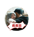 Little Pine Cone Baby（個別スタンプ：31）