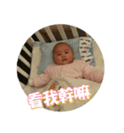 Little Pine Cone Baby（個別スタンプ：37）