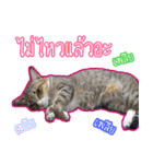 Numnim slow life（個別スタンプ：5）