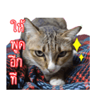 Numnim slow life（個別スタンプ：6）