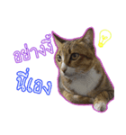 Numnim slow life（個別スタンプ：8）