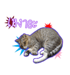 Numnim slow life（個別スタンプ：10）