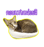 Numnim slow life（個別スタンプ：13）