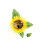 sun funny flower（個別スタンプ：11）