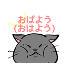 顔むにゅ(ねこ)（個別スタンプ：23）