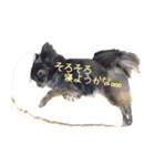 パピヨン系mix犬-日常会話のスタンプ（個別スタンプ：6）