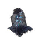 パピヨン系mix犬-日常会話のスタンプ（個別スタンプ：9）