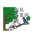 the Filmmaker's daily - take2（個別スタンプ：19）