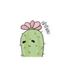 tired cactus（個別スタンプ：39）