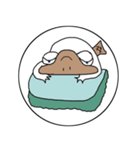 かもかもカモノハシ（個別スタンプ：4）