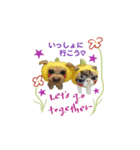 ワンプキン＆ニャンプキン（個別スタンプ：1）