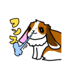 ちくわうさぎ（個別スタンプ：2）