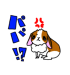 ちくわうさぎ（個別スタンプ：7）