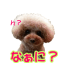 ロビンとサラ（個別スタンプ：3）