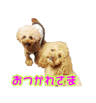 ロビンとサラ（個別スタンプ：5）