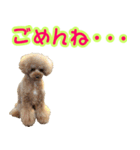 ロビンとサラ（個別スタンプ：6）