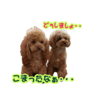 ロビンとサラ（個別スタンプ：7）