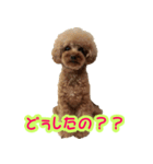 ロビンとサラ（個別スタンプ：10）