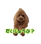 ロビンとサラ（個別スタンプ：11）