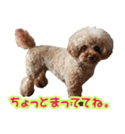 ロビンとサラ（個別スタンプ：14）