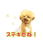 ロビンとサラ（個別スタンプ：21）