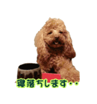 ロビンとサラ（個別スタンプ：22）