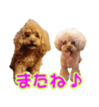 ロビンとサラ（個別スタンプ：24）