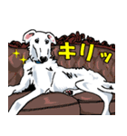 ウチのナマモノ2～ボルゾイと仲間たち（個別スタンプ：1）